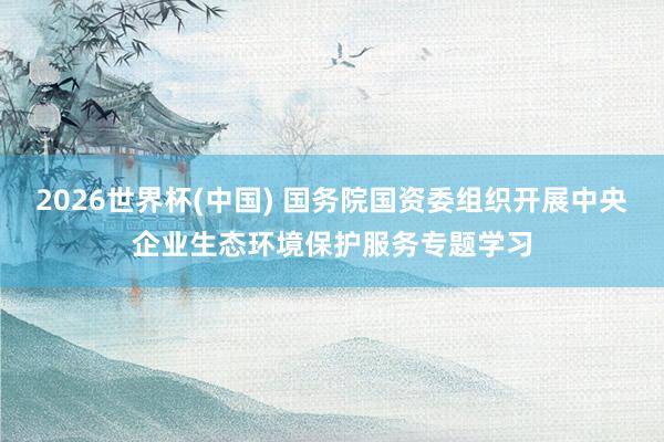2026世界杯(中國) 國務院國資委組織開展中央企業(yè)生態(tài)環(huán)境保護服務專題學習