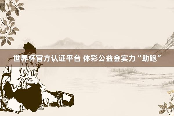 世界杯官方認證平臺 體彩公益金實力“助跑”