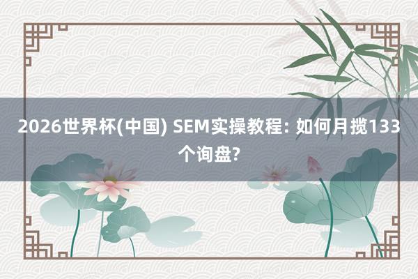 2026世界杯(中國) SEM實(shí)操教程: 如何月攬133個詢盤?