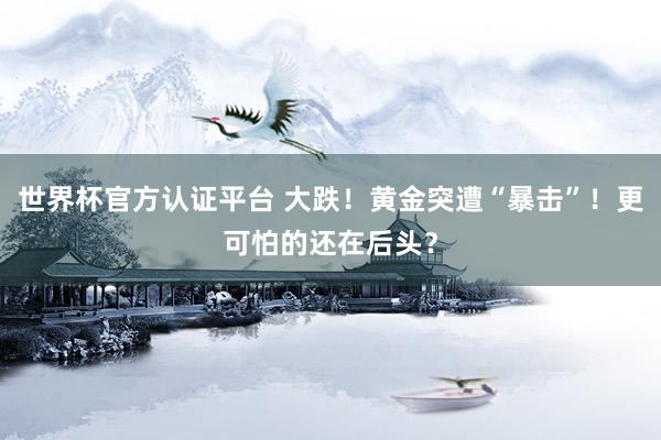 世界杯官方認(rèn)證平臺 大跌！黃金突遭“暴擊”！更可怕的還在后頭？