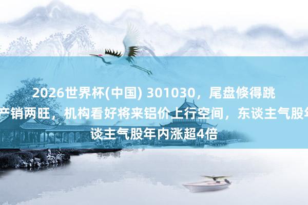 2026世界杯(中國) 301030，尾盤倏得跳水！鋁加工產銷兩旺，機構看好將來鋁價上行空間，東談主氣股年內漲超4倍