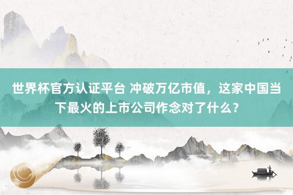 世界杯官方認證平臺 沖破萬億市值,這家中國當下最火的上市公司作念對了什么?