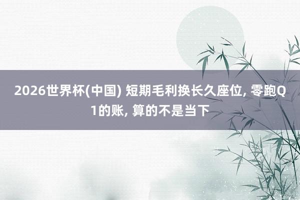 2026世界杯(中國) 短期毛利換長久座位, 零跑Q1的賬, 算的不是當下