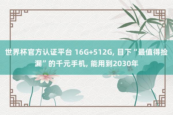 世界杯官方認證平臺 16G+512G, 目下“最值得撿漏”的千元手機, 能用到2030年