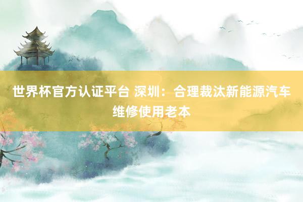 世界杯官方認證平臺 深圳：合理裁汰新能源汽車維修使用老本