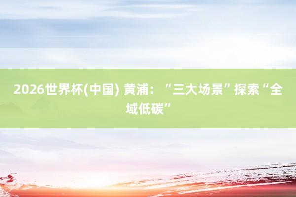 2026世界杯(中國) 黃浦：“三大場景”探索“全域低碳”